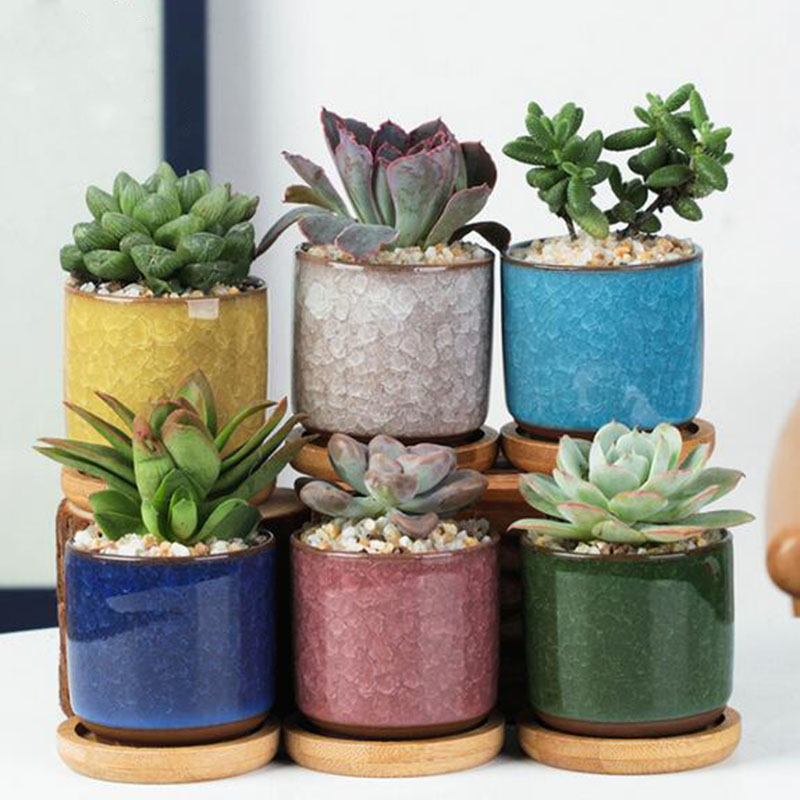 6pcs/set Ceramic Flowerpot Set - Echeveria Succulent 评论和价格