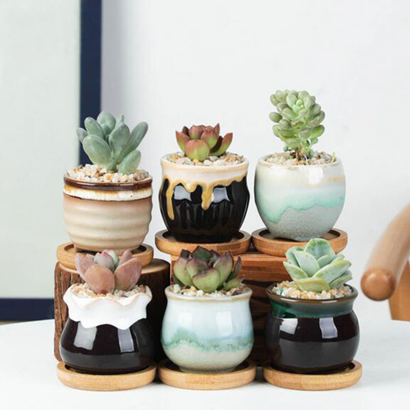 6pcs/set Ceramic Flowerpot Set - Echeveria Succulent 评论和价格
