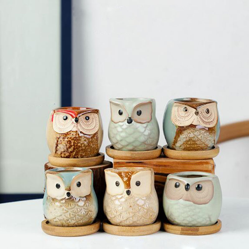 6pcs/set Ceramic Flowerpot Set - Echeveria Succulent 评论和价格