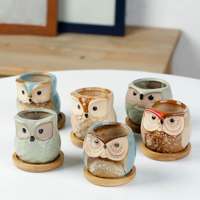 6pcs/set Ceramic Flowerpot Set - Echeveria Succulent 评论和价格