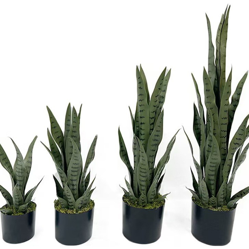 40-100cm Artificial Sansevieri - Ficus Lyrata Tree 评论和价格
