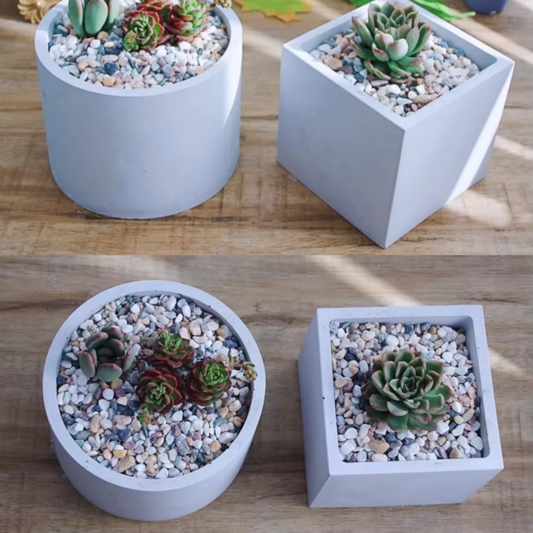 15cm Large Size Round Concrete - Echeveria Succulent 评论和价格