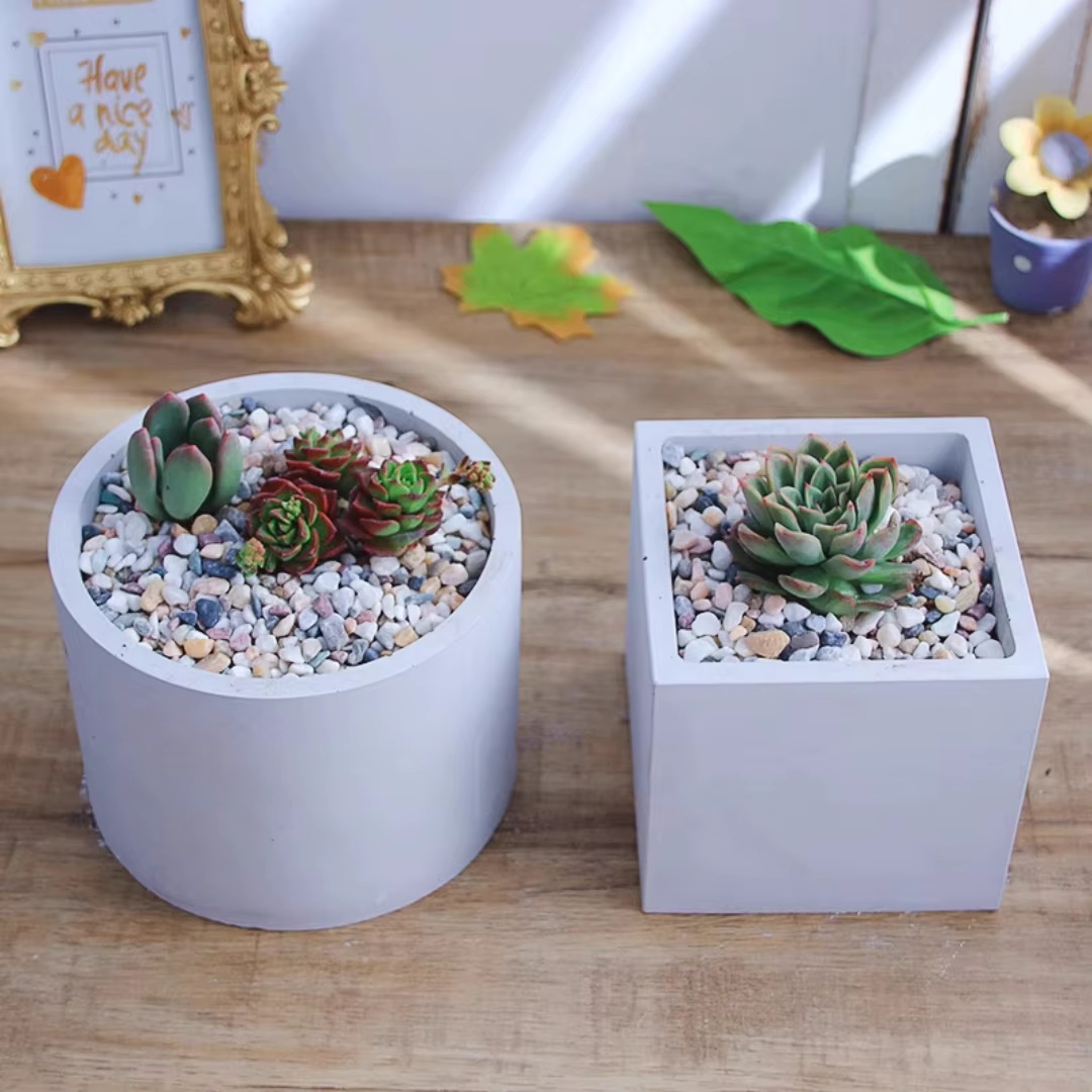 15cm Large Size Round Concrete - Echeveria Succulent 评论和价格