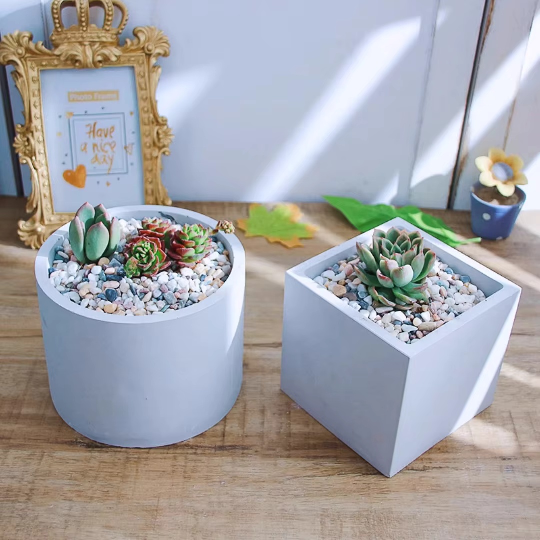 15cm Large Size Round Concrete - Echeveria Succulent 评论和价格