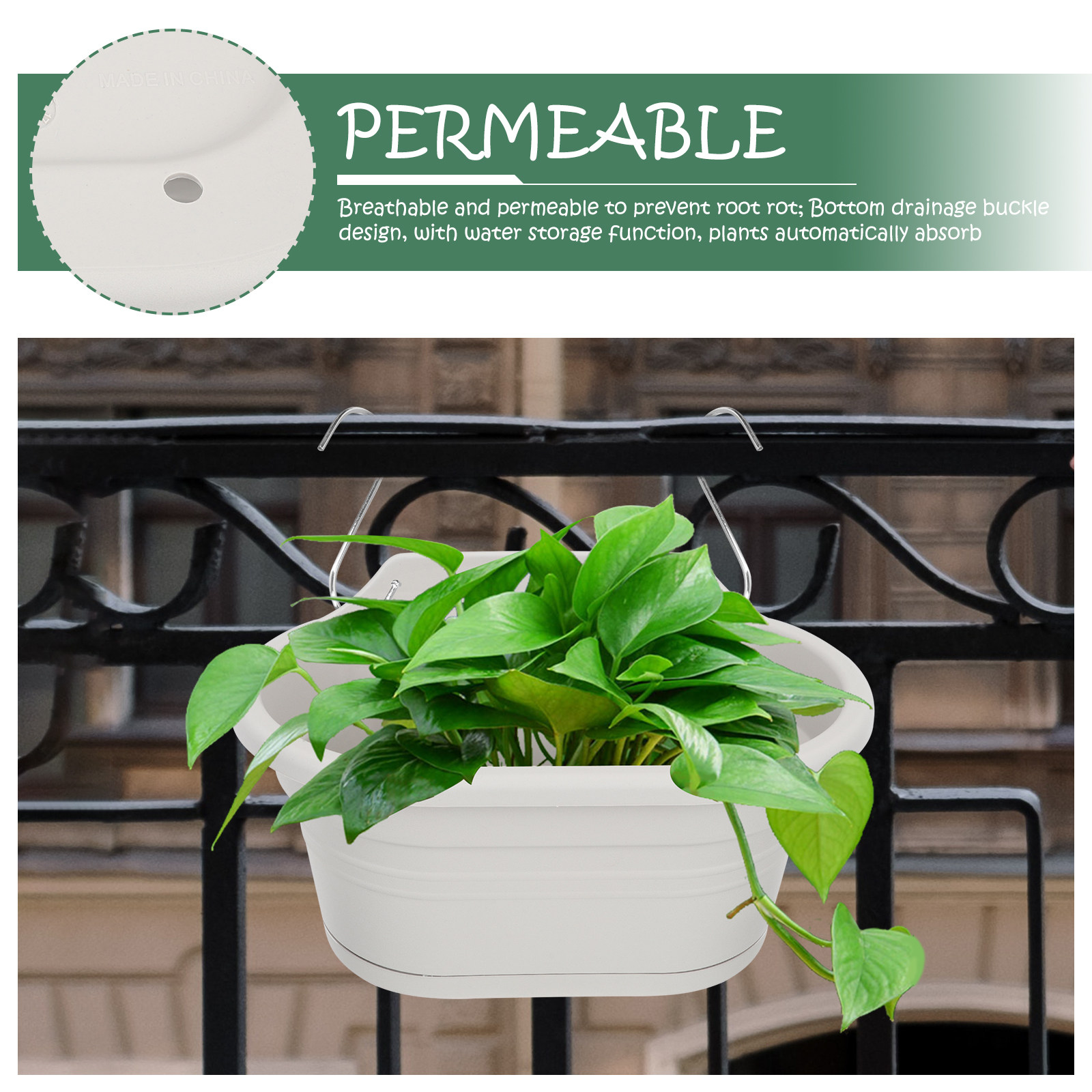 1Set Wall Mounted Hanging Flow - Spider Plant Hanging 评论和价格